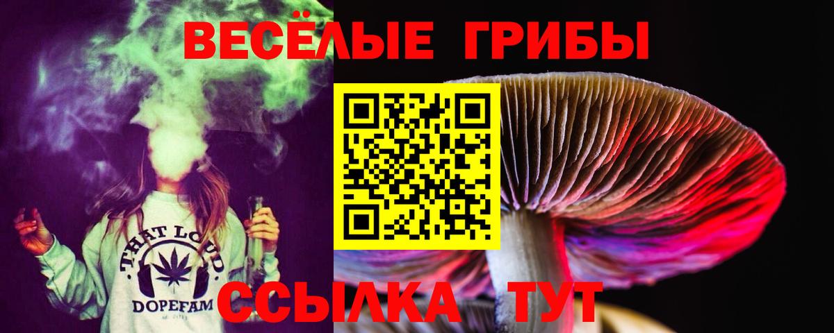 Псилоцибиновые грибы ЛСД  Псилоцибиновые грибы Magic Shrooms  Вход с VPN  Самара 